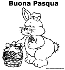 Coniglio Pasqua