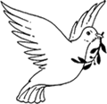 Disegni colomba
