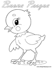Disegno Pulcino