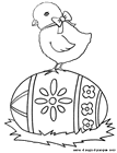 Pulcino Pasquale